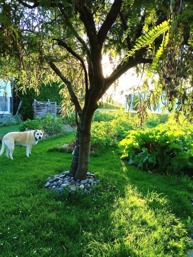 Last Light Lodge Tuatapere Luaran gambar